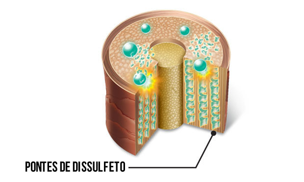 Ilustração