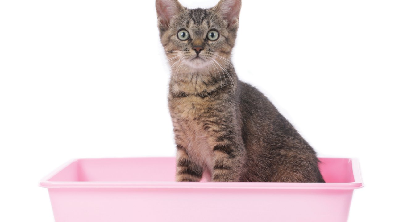 Istock