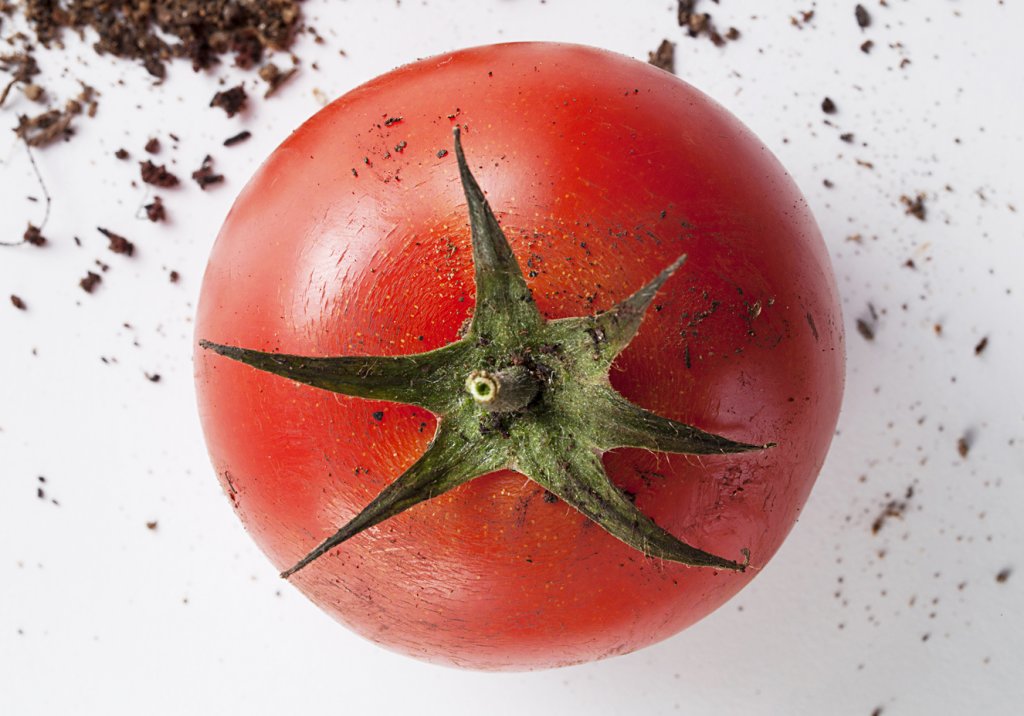 Orgânicos são (mesmo) mais nutritivos