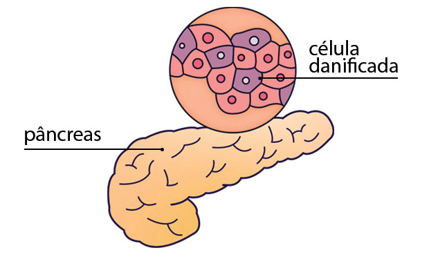 6. Glicose