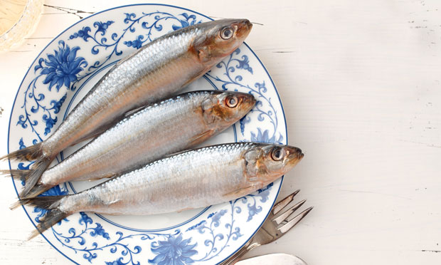 sardinha