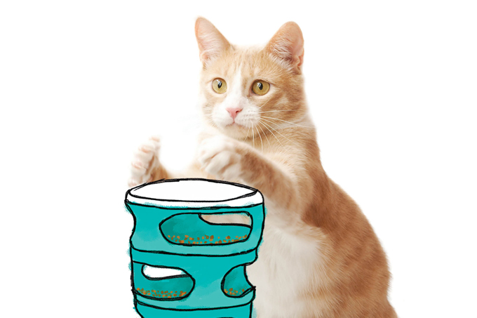 Os benefícios do entretenimento para gatos