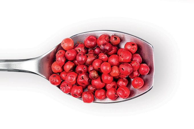pimenta brasileira ataca superbactérias