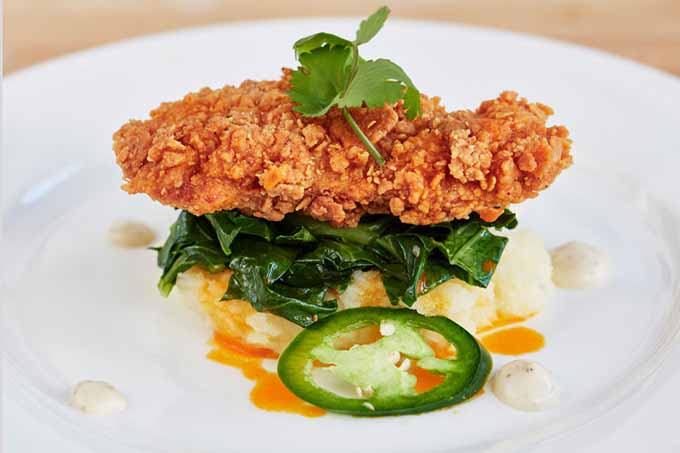 Isto é carne de frango. E nenhum animal morreu