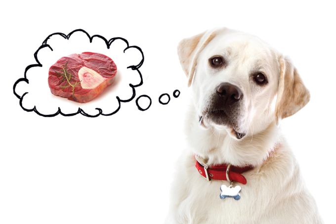 Uma alteração genética está relacionada com essa característica do animal
