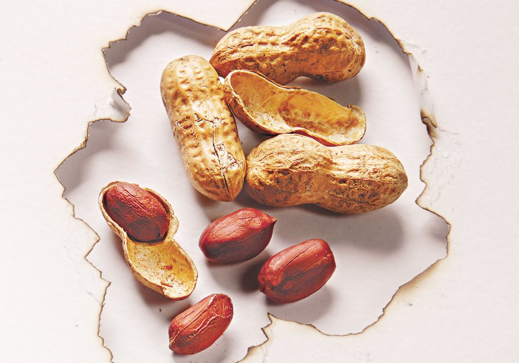 Remédio para alergia a amendoim traz resultados promissores