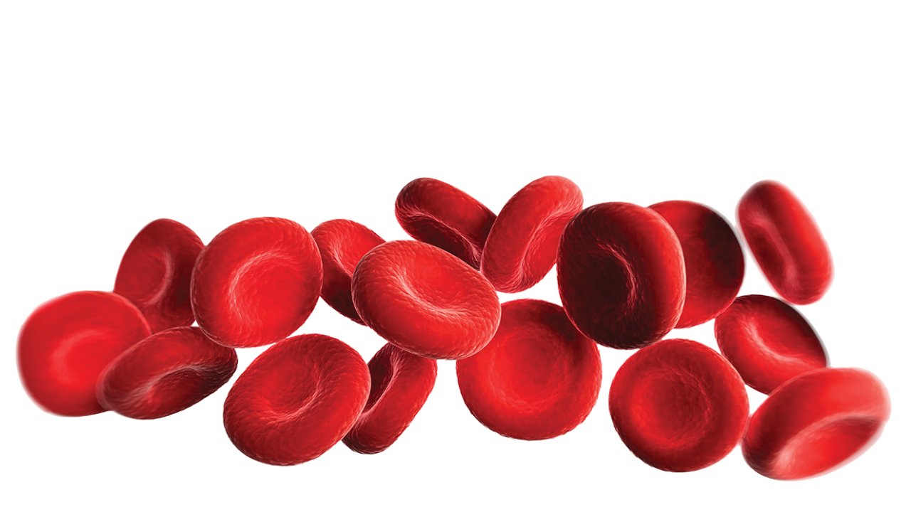 movimentou eu dou sangue