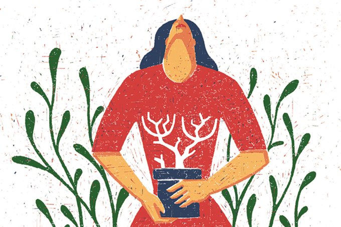 Como cultivar plantas ou uma horta beneficia a saúde física e mental