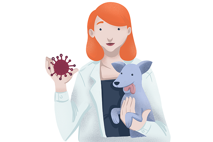 Evolução no tratamento contra o câncer em animais