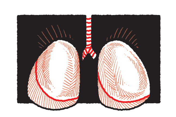 prevenar 13: vacina para pneumonia pneumococo