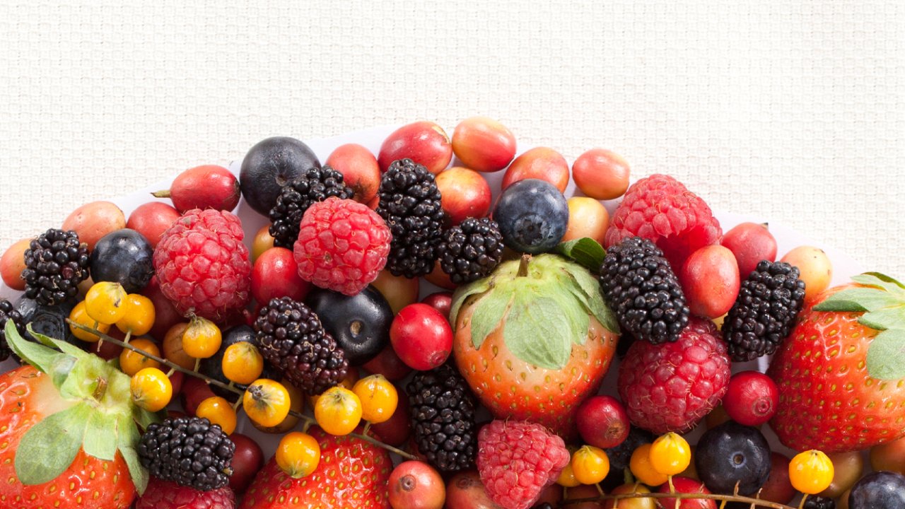 alimentos para o cérebro