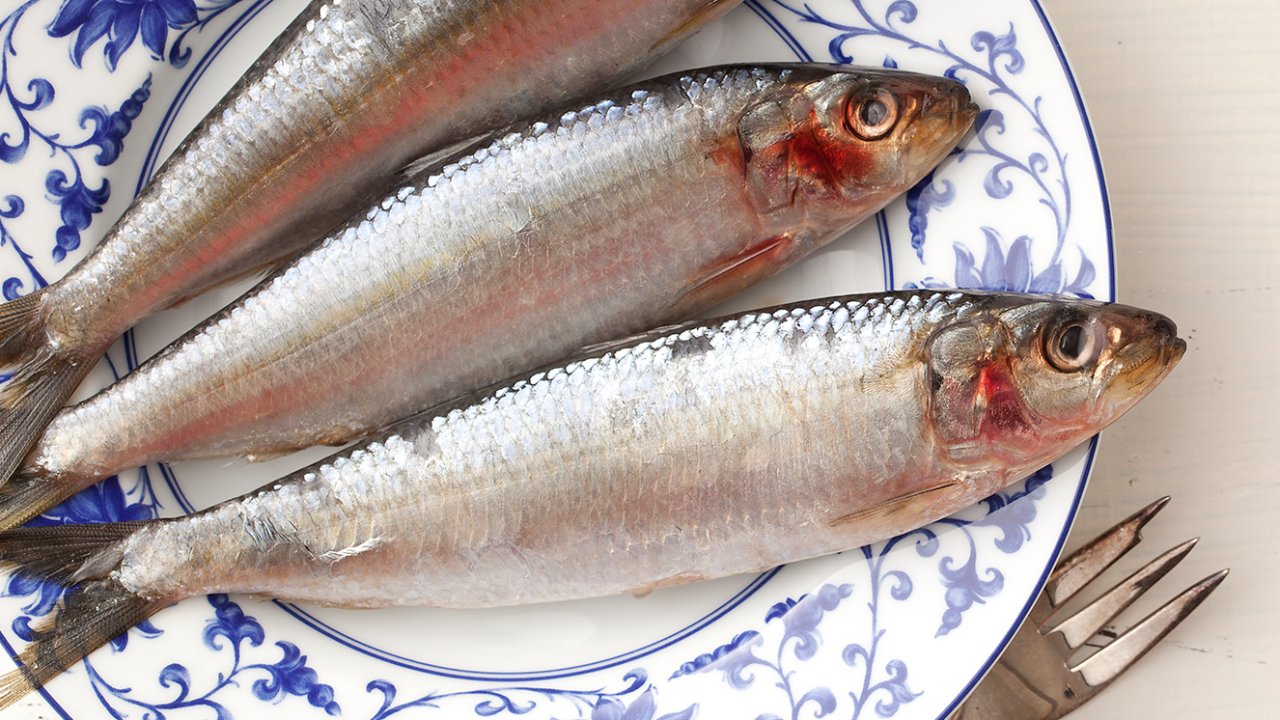 trimetilaminúria e sindrome do odor de peixe