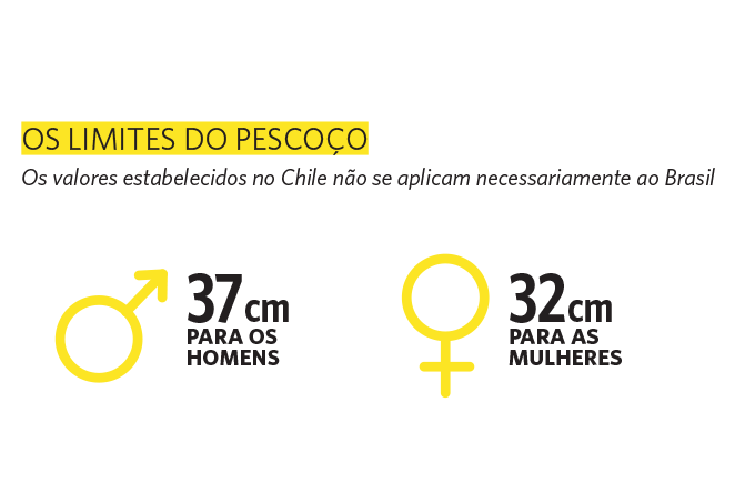 Medicina Os limites do pescoço.