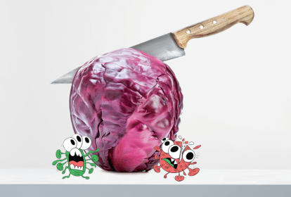 alimentação contra coronavírus