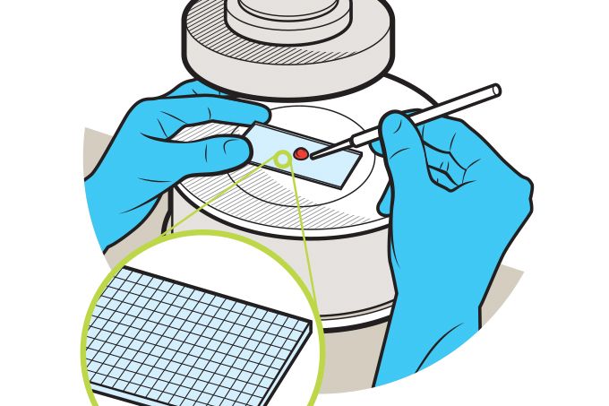 coronavirus teste rápido covid 19