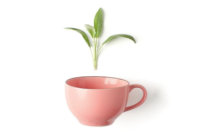 benefícios do chá de sálvia