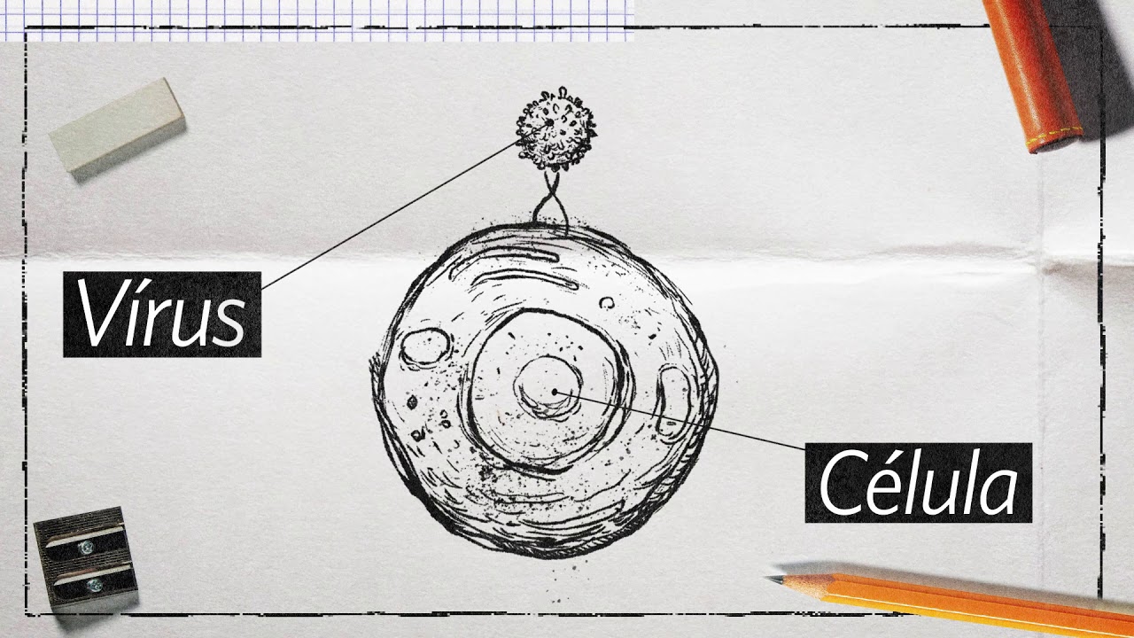 Coronavírus: sintomas, prevenção