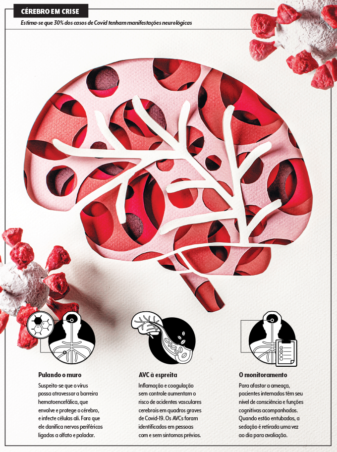 coronavírus cérebro