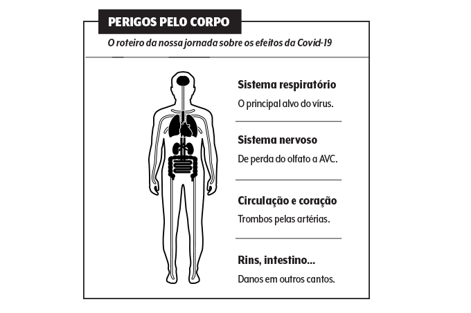 Coronavírus: muito além dos pulmões