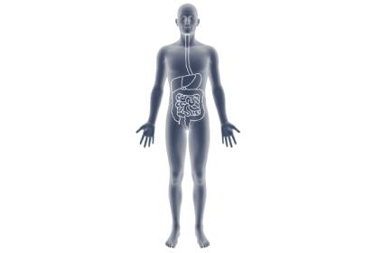 mapa doenças gastrointestinais nos mais velhos