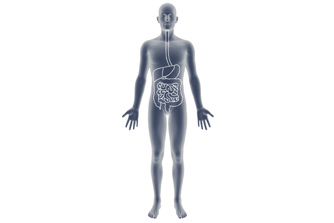 mapa doenças gastrointestinais nos mais velhos