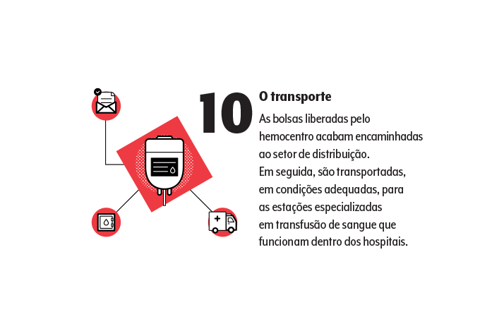 doação de sangue 10 doação de sangue 10