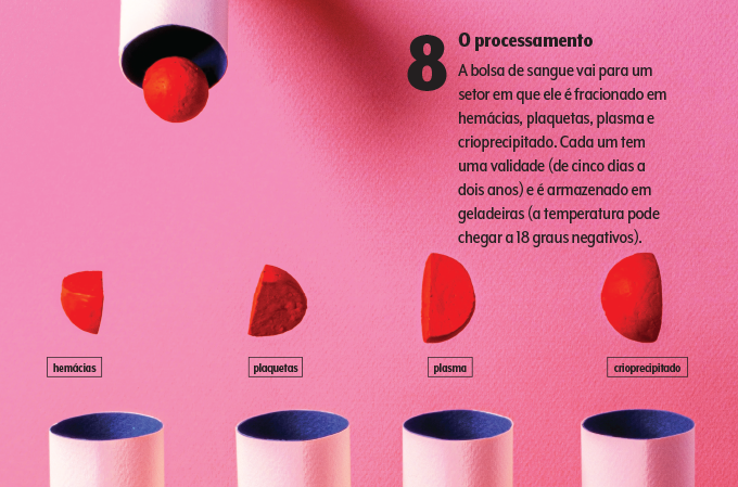 doação de sangue 8 doação de sangue 8