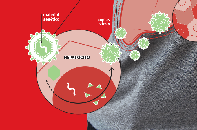 infeccao-hepatite-c