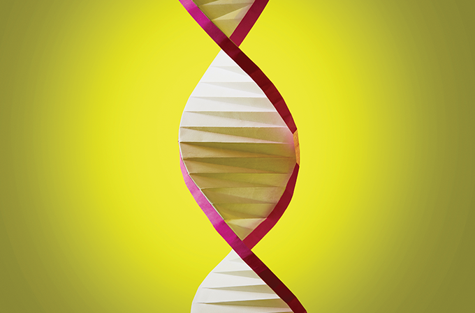 foto de um DNA feito de papel