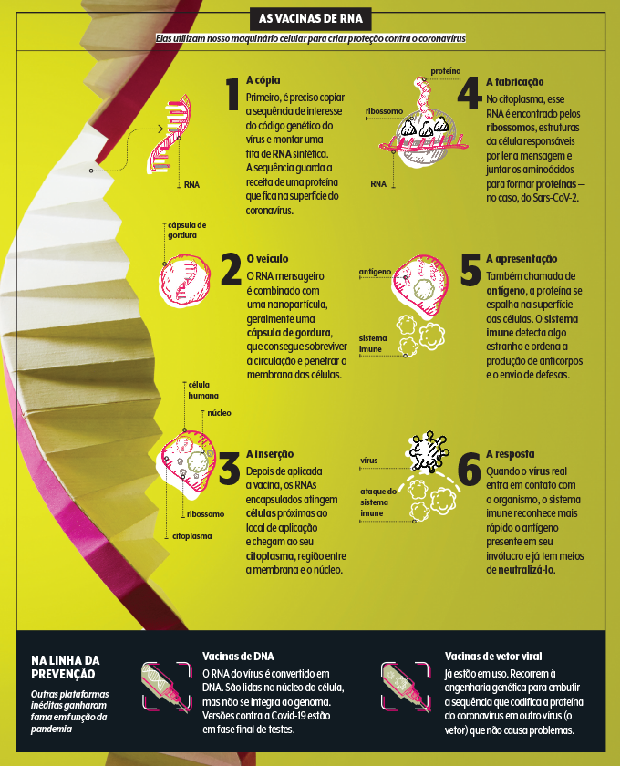 Vacinas de RNA contra a Covid-19