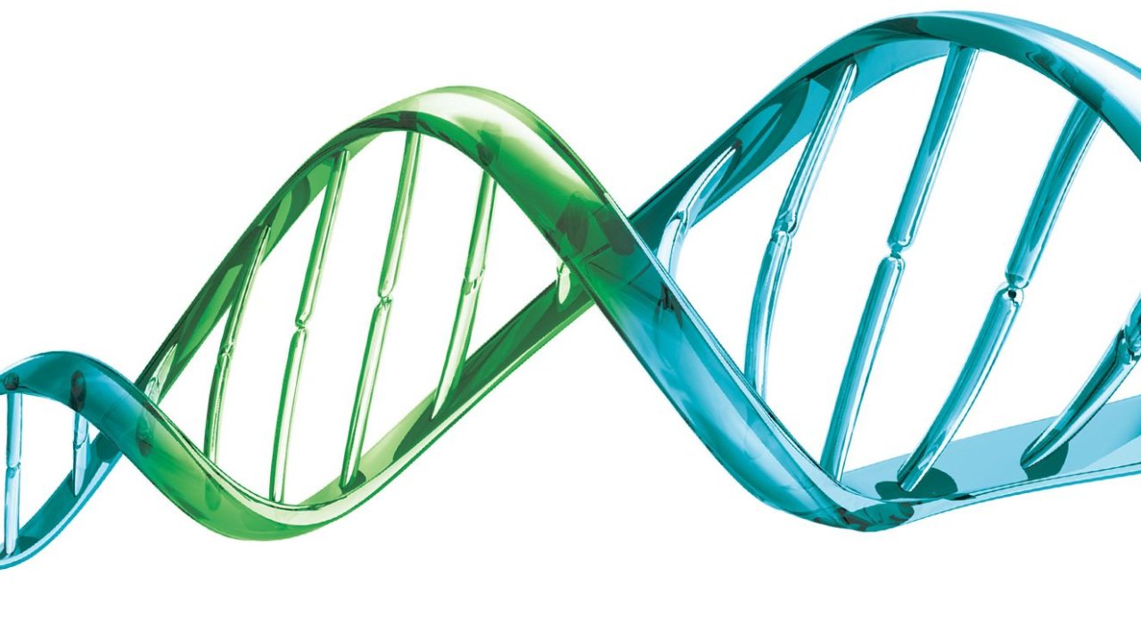 Ilustração de dupla fita de DNA