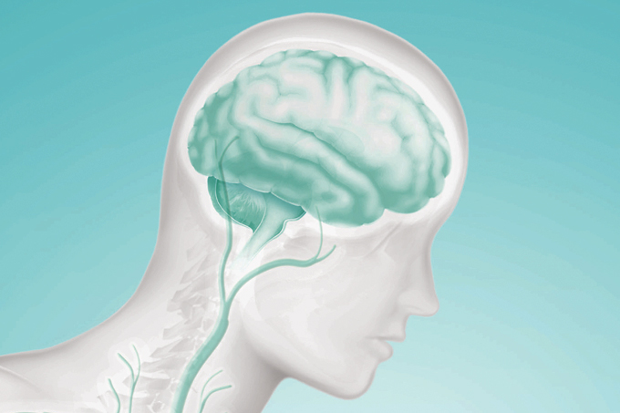 ilustração anatômica de cérebro num indivíduo