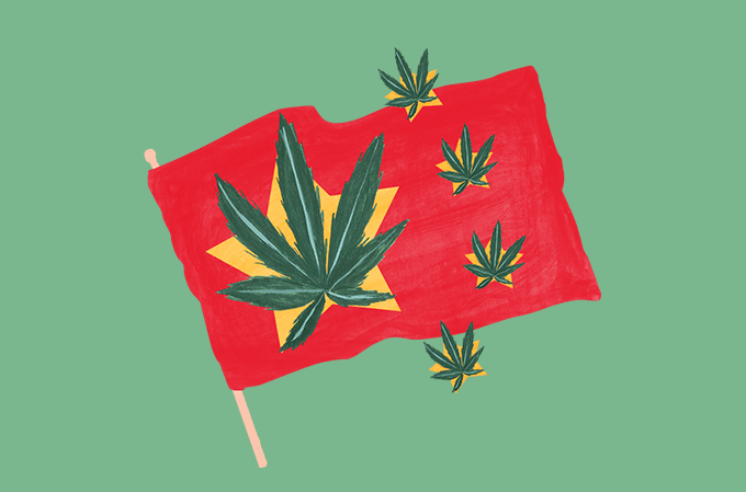 ilustração da bandeira da china com a planta cannabis estampada dentro