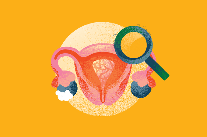 ilustração de aparelho reprodutor feminino com uma lupa