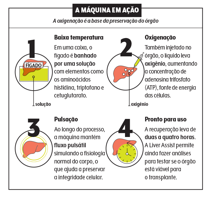 medicina-figado-info INFOGRÁFICO DA MÁQUINA EM AÇÃO