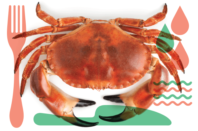 Maré alta para os frutos do mar