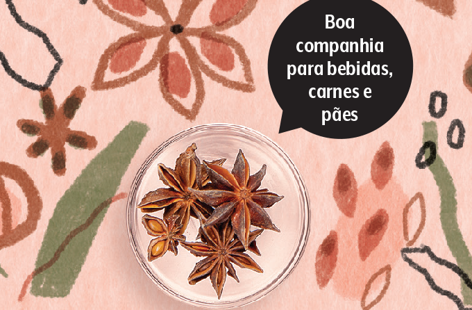 anis estrelado temperos