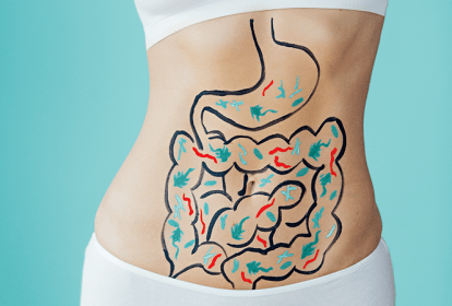 microbiota intestinal