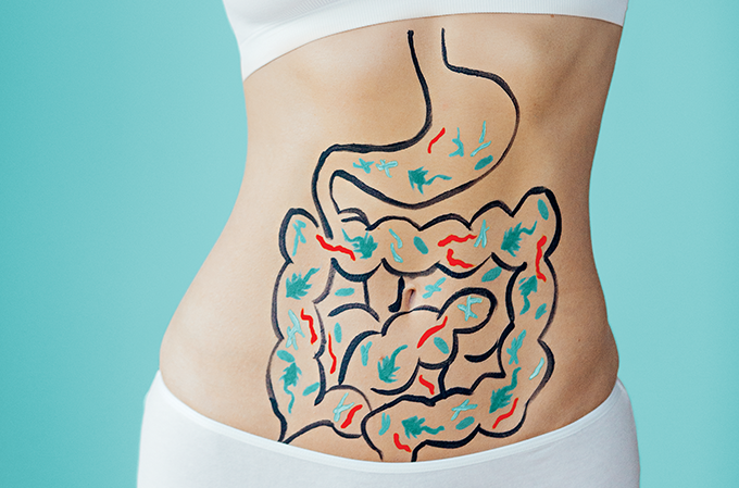 microbiota intestinal