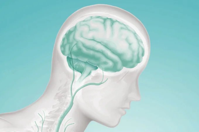 Parkinson: estudo mede tempo de ação de remédio que controla equilíbrio