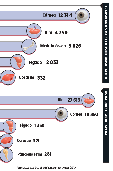Número de transplantes no Brasil Gráfico com numeros de transplantes