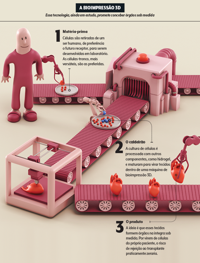 Bioimpressão Infográfico de como funciona a bioimpressão
