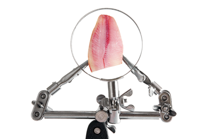 Peixe feito em laboratório