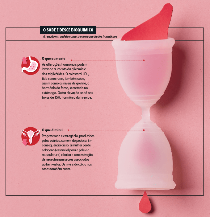 menopausa alterações hormonais na menopausa
