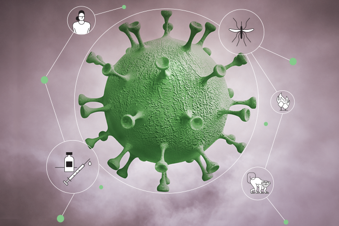 A natureza das pandemias: está tudo conectado!