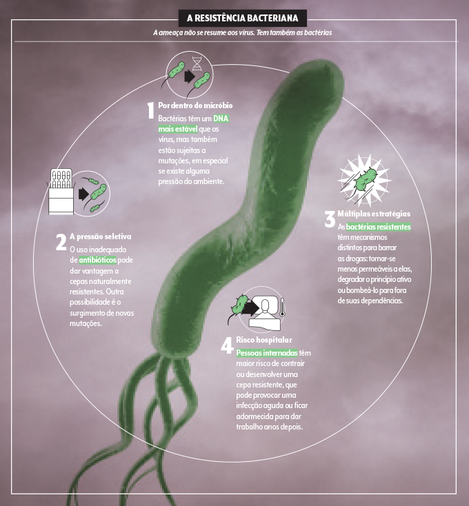 resistência bacteriana