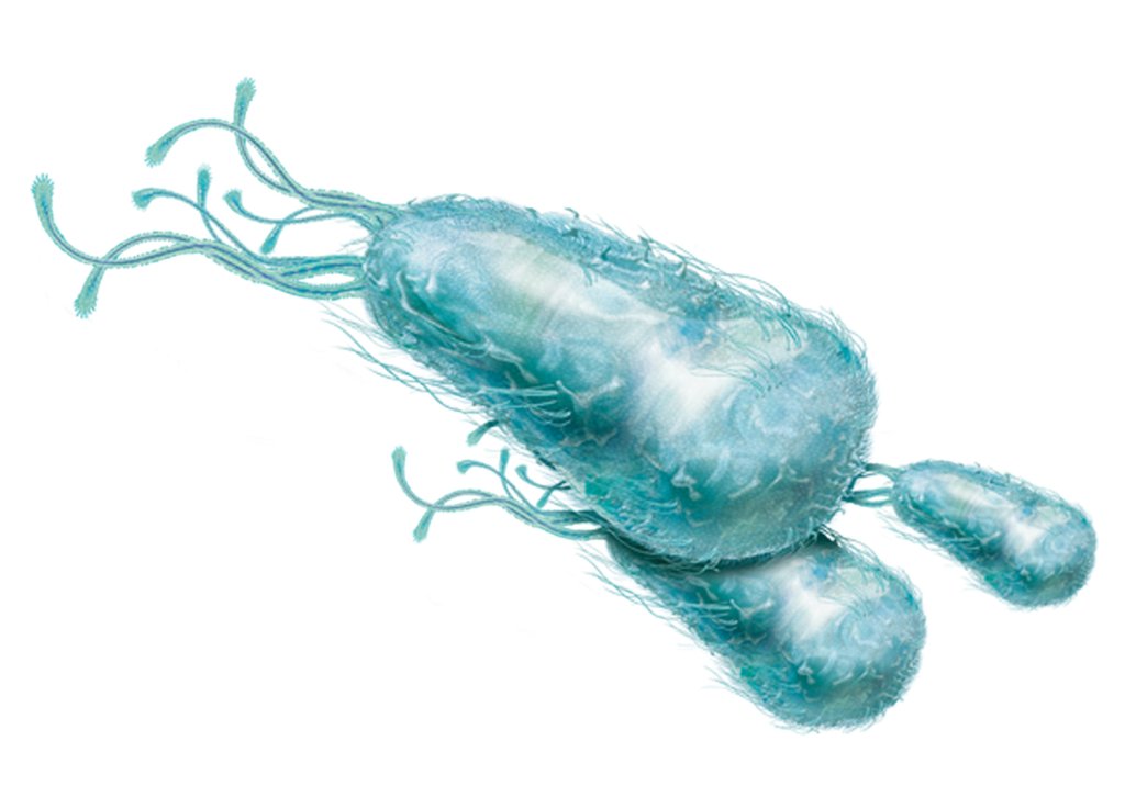 Sepse, um problema que assombra crianças em hospitais brasileiros