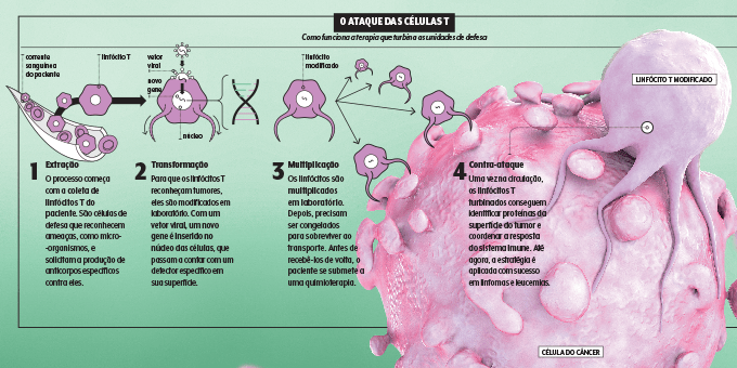 car-t como funciona a terapia car-t