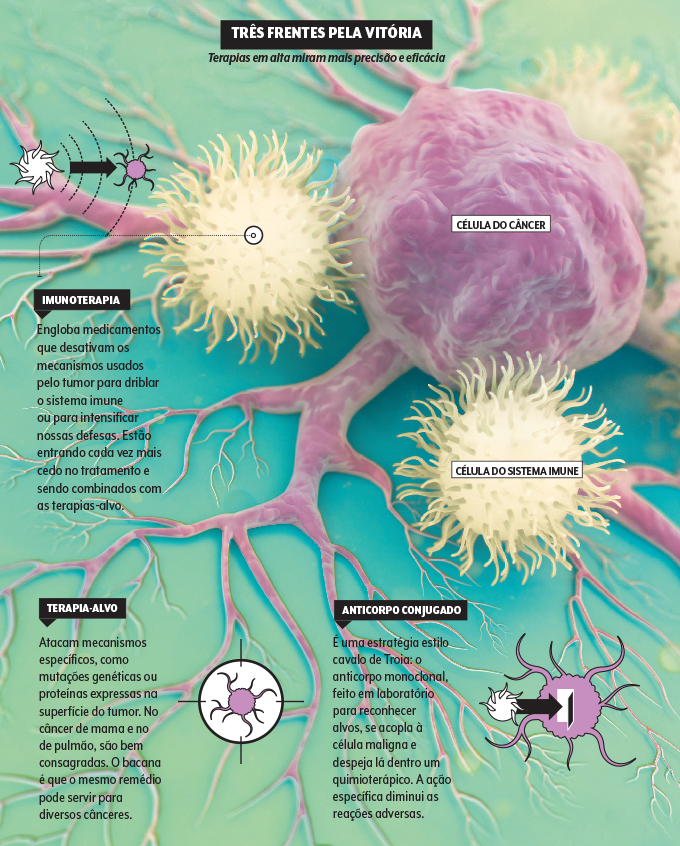imunoterapia terapia-alvo anticorpo conjugado a droga imunoterapia terapia-alvo anticorpo conjugado a droga