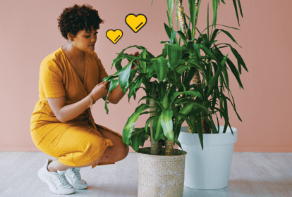 como cultivar plantas